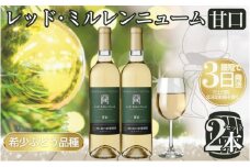 ワイン 希少ぶどう品種 岩の原ワイン レッド・ミルレンニューム 甘口 お酒 希少 ぶどう 岩の原 新潟 上越