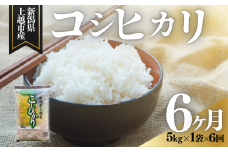 上越市産 新潟 コシヒカリ 5kg 6か月定期便 こしひかり お米 精米 米 ご飯 定期