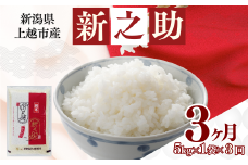 上越市産 新潟 新之助 5kg 3か月定期便 しんのすけ お米 精米 米 ご飯 定期