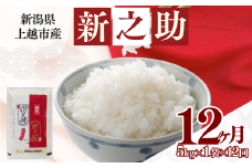 上越市産 新潟 新之助 5kg 12か月定期便 しんのすけ お米 精米 米 ご飯 定期