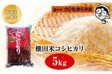棚田米コシヒカリ 5kg 上越市 精米 コメ 米 ブランド米