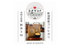 令和6年産 上越市産 コシヒカリ 5kg 新米 精米 新潟 米 新潟県 こしひかり 限定 おすすめ