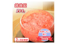 削りいちこ゛越後姫500g　3ヶ月定期便 冷凍 イチゴ 苺 果物 フルーツ 新潟