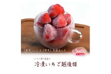 冷凍いちご 越後姫1kg×2袋 6ヶ月定期便 冷凍 イチゴ 苺 果物 フルーツ 定期 新潟