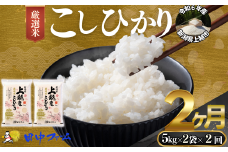 上越市産 新潟 特別米コシヒカリ 5kg×2 2か月定期便  上越市 精米 米 コメ こしひかり ブランド米