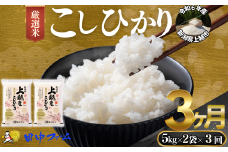 上越市産 新潟 特別米コシヒカリ　5kg×2 3か月定期便  上越市 精米 米 コメ こしひかり ブランド米