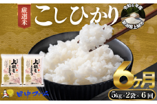 上越市産 新潟 特別米コシヒカリ　5kg×2 6か月定期便  上越市 精米 米 コメ こしひかり ブランド米