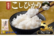 上越市産 新潟 特別米コシヒカリ　5kg  上越市 精米 米 コメ こしひかり ブランド米