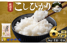 上越市産 新潟 特別米コシヒカリ　5kg 6か月定期便  上越市 精米 米 コメ こしひかり ブランド米