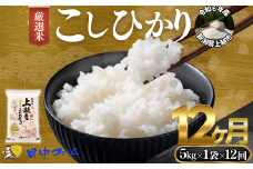 上越市産 新潟 特別米コシヒカリ　5kg 12か月定期便  上越市 精米 米 コメ こしひかり ブランド米