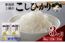 上越市産 新潟 コシヒカリ　5kg×2 3か月定期便  上越市 精米 米 コメ こしひかり ブランド米