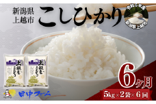 上越市産 新潟 コシヒカリ　5kg×2 6か月定期便  上越市 精米 米 コメ こしひかり ブランド米