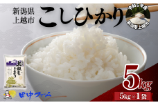 上越市産 新潟 コシヒカリ　5kg  上越市 精米 米 コメ こしひかり ブランド米