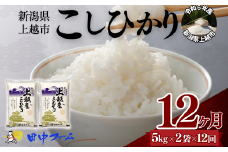 上越市産 新潟 コシヒカリ　5kg×2 12か月定期便  上越市 精米 米 コメ こしひかり ブランド米