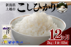 上越市産 新潟 コシヒカリ　5kg 12か月定期便  上越市 精米 米 コメ こしひかり ブランド米