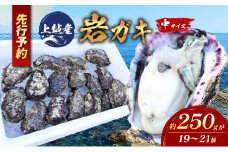 水揚げ当日発送 生食用 天然 岩牡蠣 約4.5kg(4～5人前/19～21個) 新潟 上越産 手採り プリプリ 濃厚 海鮮 BBQ 送料無料 岩ガキ 牡蠣