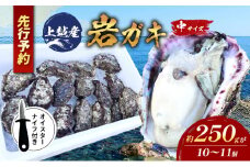 水揚げ当日発送/ナイフ付 生食用 天然 岩牡蠣 約2.5kg(2～3人前/10～11個) 新潟 上越産 手採り プリプリ 濃厚 BBQ 送料無料 岩ガキ 牡蠣