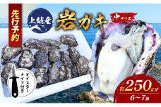 水揚げ当日発送/ナイフ付 生食用 天然 岩牡蠣 約1.5kg(1～2人前/6～7個) 新潟 上越産 手採り プリプリ 濃厚 BBQ 送料無料 岩ガキ 牡蠣