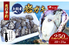 水揚げ当日発送/ナイフ付 生食用 天然 岩牡蠣 約4.5kg(4～5人前/19～21個) 新潟 上越産 手採り プリプリ 濃厚 BBQ 送料無料 岩ガキ 牡蠣