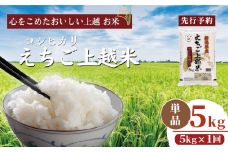 【先行予約】令和7年 新米 新潟県産コシヒカリ えちご上越米 5kg 新潟 米 新潟県 こしひかり 限定 おすすめ
