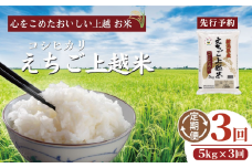 【先行予約】令和7年 新米 新潟県産コシヒカリ えちご上越米　定期便 【3ヶ月連続お届け】5kg×3回 15kg 新潟 米 新潟県 こしひかり 限定 おすすめ