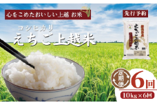 【先行予約】令和7年 新米 新潟県産コシヒカリ えちご上越米　定期便 【6ヶ月連続お届け】10kg×6回 60kg 新潟 米 新潟県 こしひかり 限定 おすすめ
