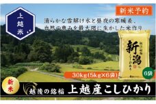 令和7年産 先行予約 新潟県上越産こしひかり 精米 30kg 上越市 米 コメ コシヒカリ