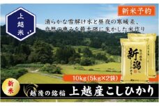 令和7年産 先行予約 新潟県上越産こしひかり 精米 10kg 上越市 米 コメ コシヒカリ
