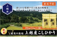 令和7年産 先行予約 新潟県上越産こしひかり 精米 20kg 上越市 米 コメ コシヒカリ