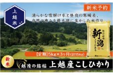 令和7年産 先行予約 新潟県上越産こしひかり 精米 5kg 3か月定期便 上越市 米 コメ コシヒカリ