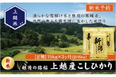 令和7年産 先行予約 新潟県上越産こしひかり 精米 15kg 3か月定期便 上越市 米 コメ コシヒカリ