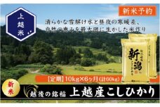 令和7年産 先行予約 新潟県上越産こしひかり 精米 10kg 6か月定期便 上越市 米 コメ コシヒカリ