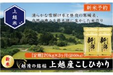 令和7年産 先行予約 新潟県上越産こしひかり 精米 20kg 3か月定期便 上越市 米 コメ コシヒカリ