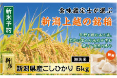 令和7年産 先行予約 食味鑑定士厳選 新潟県産こしひかり 無洗米 5kg 上越市 米 コメ コシヒカリ