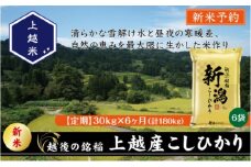 令和7年産 先行予約 新潟県上越産こしひかり 精米 30kg 6か月定期便 上越市 米 コメ コシヒカリ
