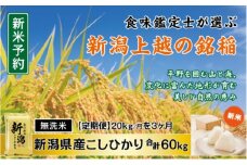 令和7年産 先行予約 食味鑑定士厳選 新潟県産こしひかり 無洗米 20kg 3か月定期便 上越市 米 コメ コシヒカリ