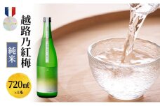 日本酒 越路乃紅梅　純米　720ml お酒 新潟 上越