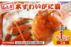 【先行予約商品　2025年11月末頃から順次発送します】名立産　本ずわいがに姿　2尾　合計約1.0kg　新潟 上越 ズワイガニ 冷凍カニ 海産物