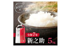 新米予約 令和7年 新潟県産新之助 5kg 5キロ 上越市清里区 丸山農場 白米 精米 送料無料 従来品種 希少 限定 先行予約