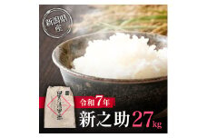 新米予約 令和7年 新潟県産新之助 27kg 27キロ 上越市清里区 丸山農場 白米 精米 送料無料 従来品種 希少 限定 先行予約