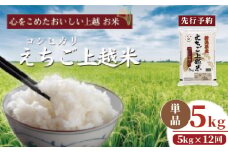 【先行予約】令和7年 新米 新潟県産コシヒカリ えちご上越米　定期便 【12ヶ月連続お届け】5kg×12回 60kg 新潟 米 新潟県 こしひかり 限定 おすすめ