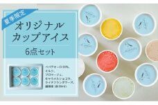 アイス 【夏季限定（5月〜9月ラインナップ）】オリジナルカップアイス 6点セット アイスクリーム セット ギフト 詰め合わせ 冷凍