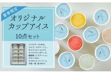 アイス 【夏季限定（5月〜9月ラインナップ）】オリジナルカップアイス 10点セット アイスクリーム セット ギフト 詰め合わせ 冷凍