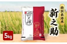 【10月上旬より順次出荷】令和7年産 特別栽培米 新之助 白米 5kg お米 精米 白米 米 ご飯 ごはん おにぎり 新潟県産 上越産 新潟県 上越市