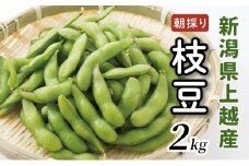 【7月中旬～発送／数量限定】朝採りを産地から当日発送！ 新潟上越「高田圃場」の採れたて枝豆 たっぷり2kg 上越市 えだまめ