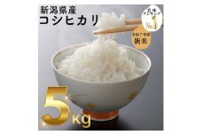 令和7年度産　上越市産コシヒカリ　5kg　新米　精米　新潟　米　新潟県　こしひかり　限定　おすすめ