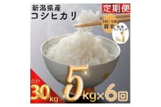 新米予約 令和7年 新潟県産コシヒカリ 30kg 30キロ（5kg×6回） 定期便 （毎月発送） 米ヴィレッジさんわ 自社精米 米 白米 送料無料 限定 先行予約