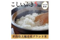 令和7年度産　上越市産こしいぶき　5kg　新米　精米　新潟　米　新潟県　こしいぶき　限定　おすすめ