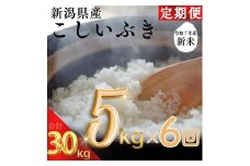 令和7年度産　上越市産こしいぶき　5kg×6回定期便　新米　精米　新潟　米　新潟県　こしいぶき　限定　定期便　おすすめ