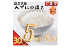 令和7年度産　上越市産みずほの輝き　5kg×6回定期便　新米　精米　新潟　米　新潟県　みずほの輝き　限定　定期便　おすすめ